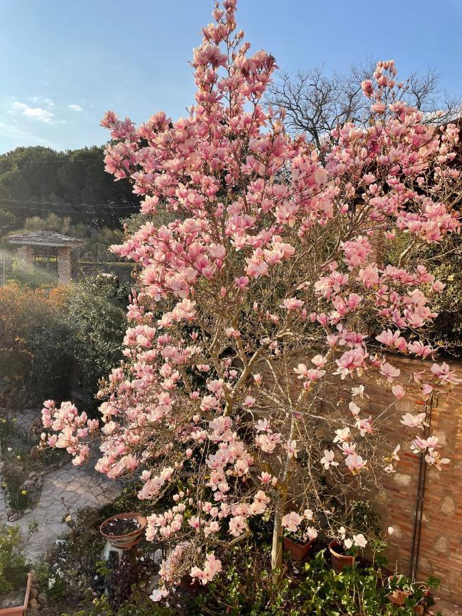 C'era Una Volta B&B Perugia Esterno foto